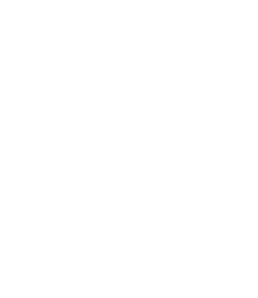 宸九商业运营